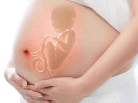 试管婴儿代孕优势-武汉助孕中心价格表_胎儿半入盆多久能生